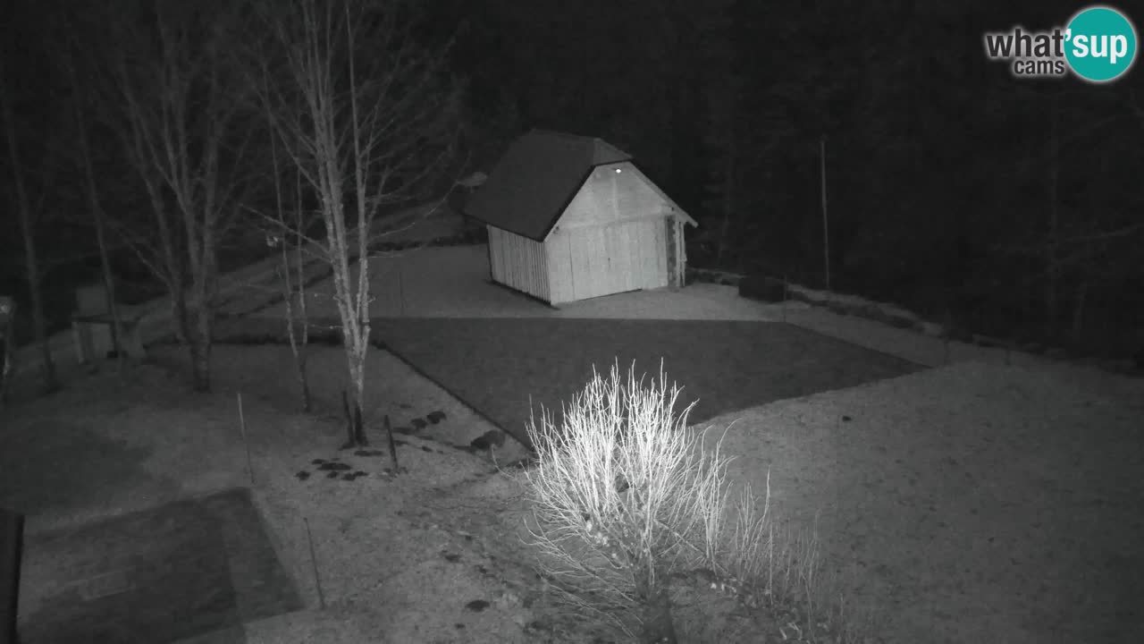 Webcam Lukanja – Water Village | Pohorje Houses