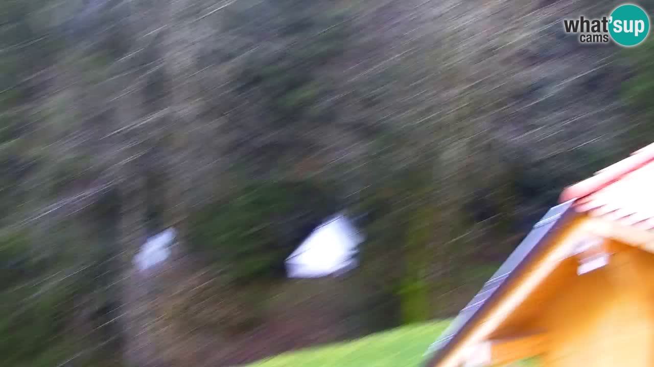 Webcam Lukanja – Pohorje houses a Water village