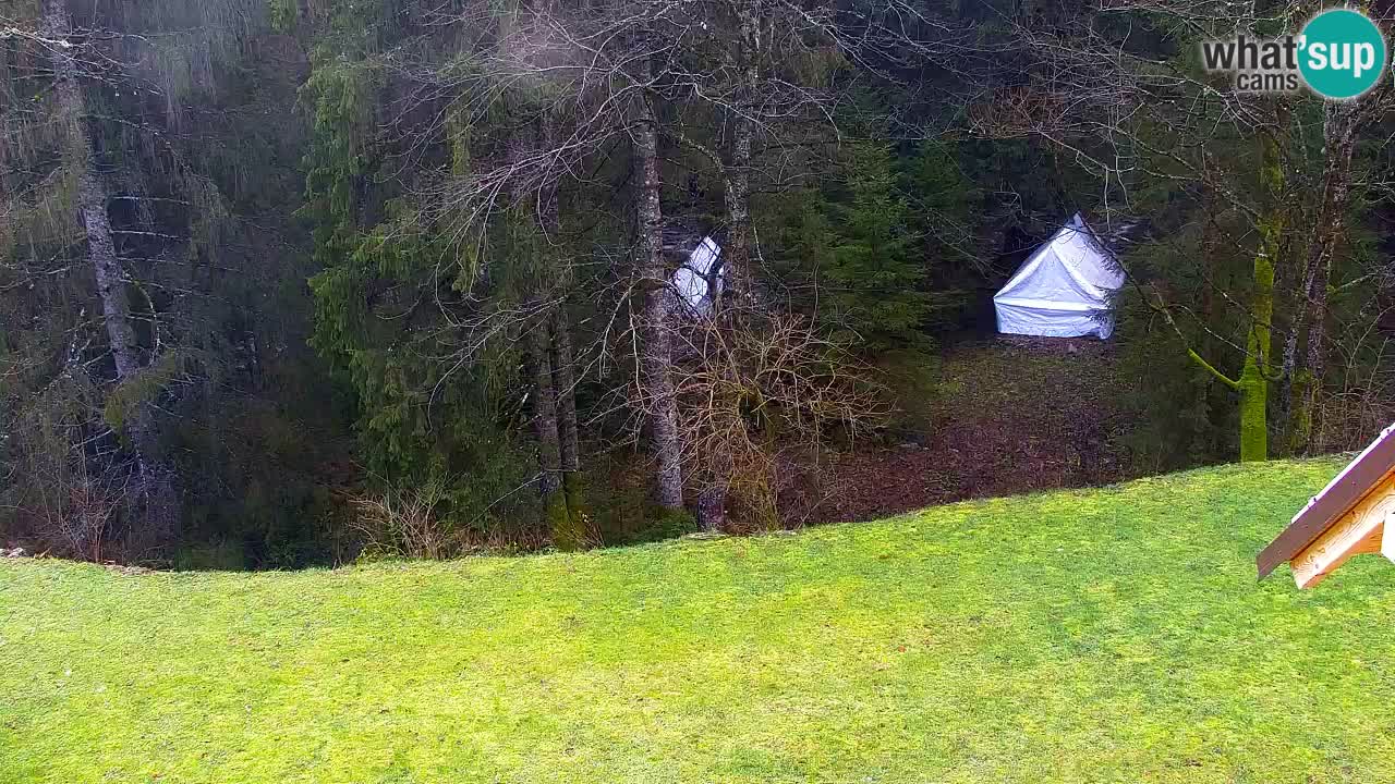 Webcam Lukanja – Water Village | Pohorje Houses