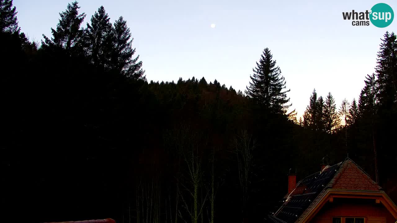 Web kamera Lukanja – Water Village | Pohorje Houses