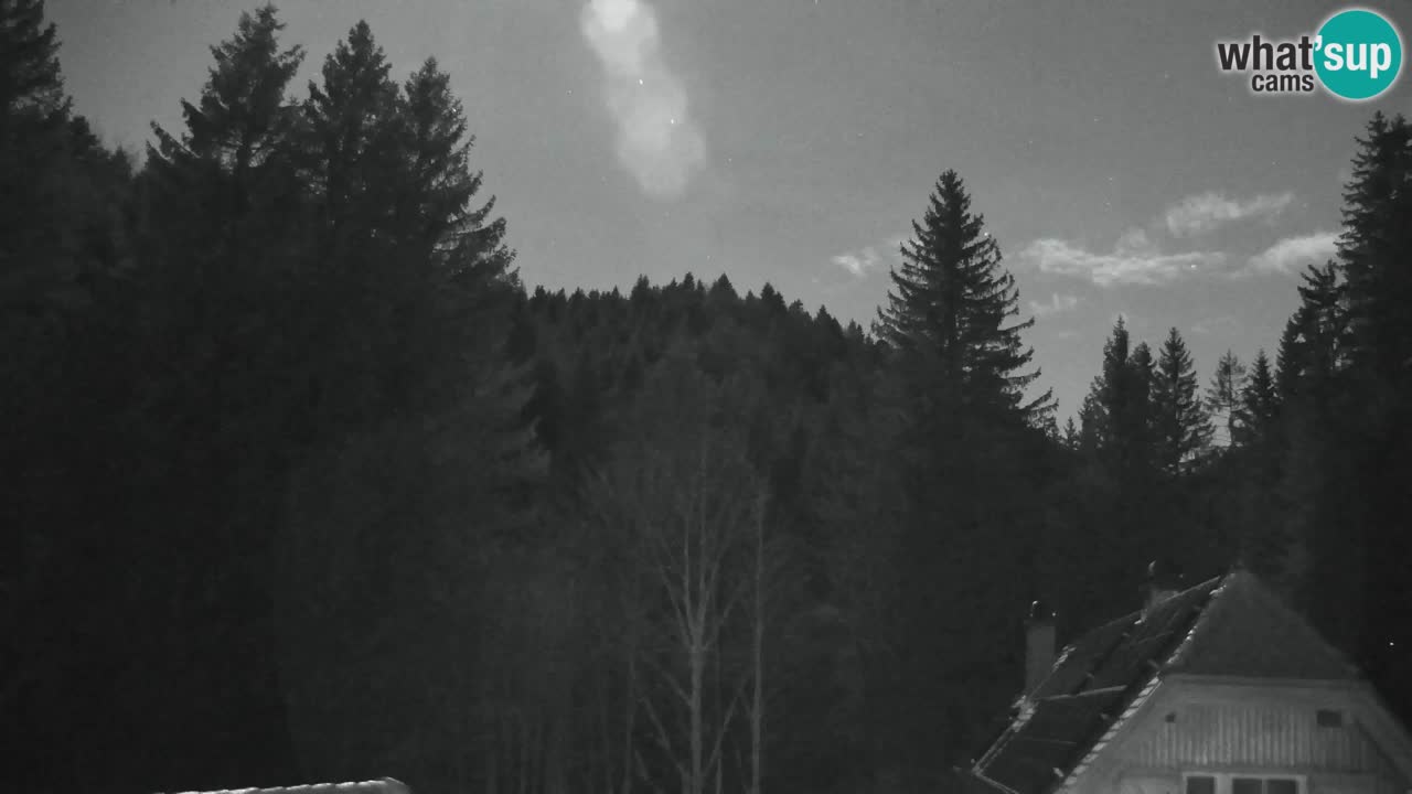 Webcam Lukanja – Pohorje houses a Water village