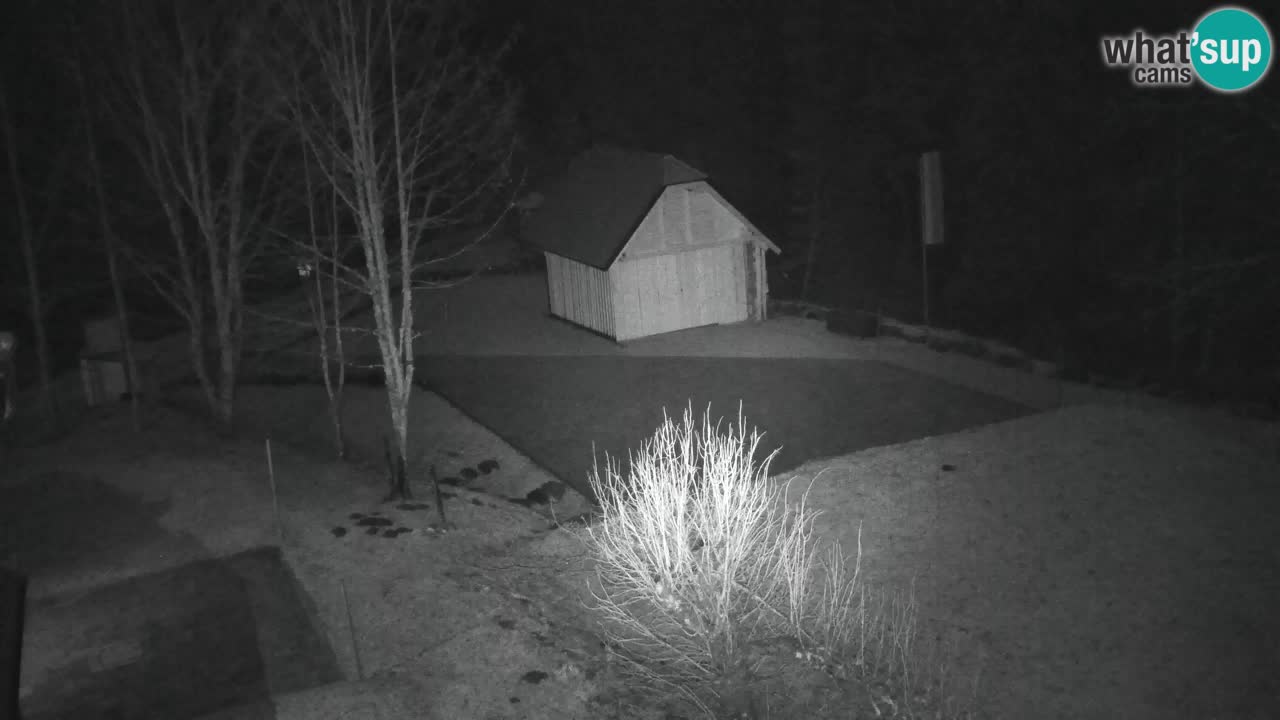 Webcam Lukanja – Pohorje houses a Water village