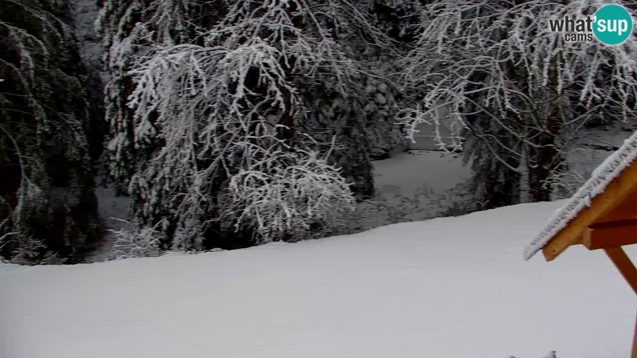 Webcam Lukanja – Water Village | Pohorje Houses