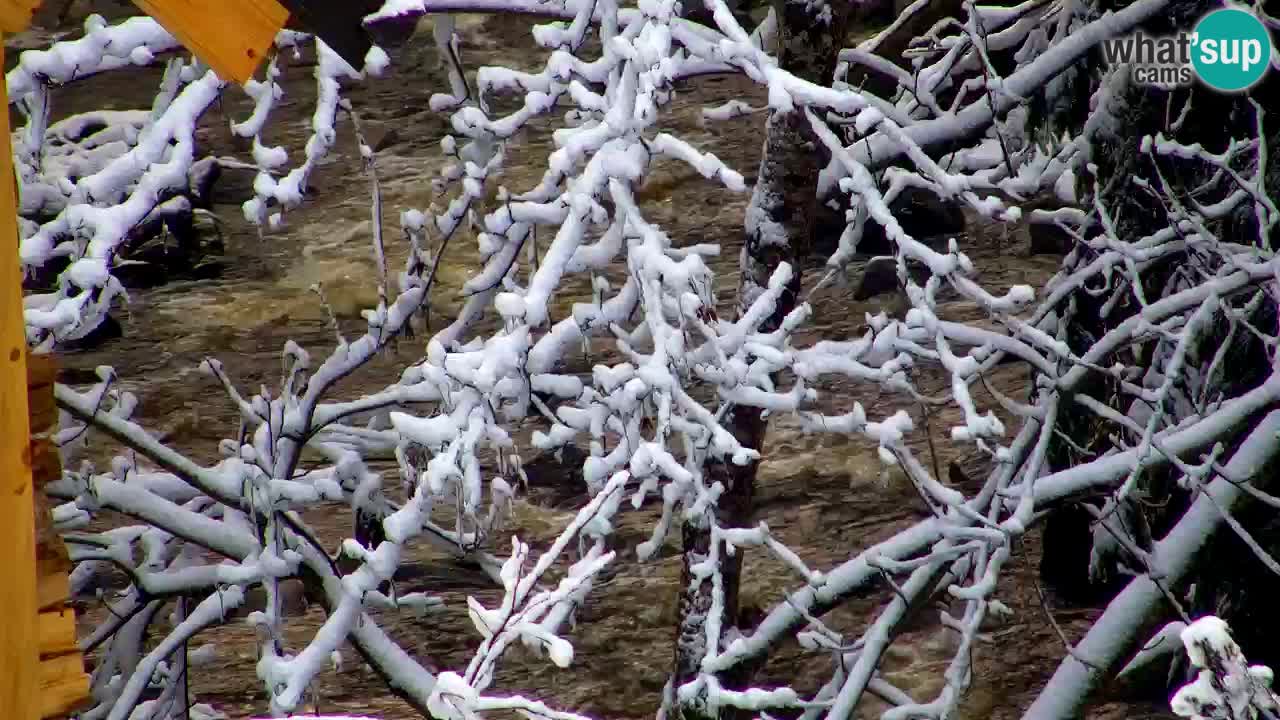 Webcam Lukanja – Water Village | Pohorje Houses