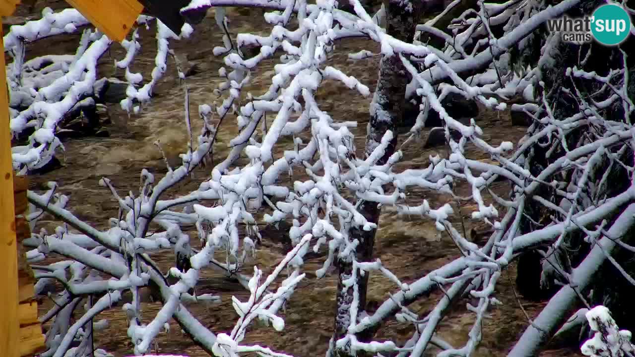 Web kamera Lukanja – Water Village | Pohorje Houses