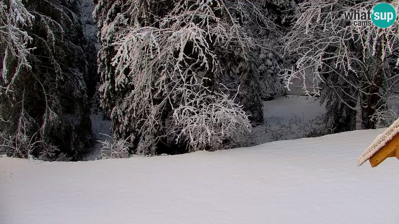 Webcam Lukanja – Water Village | Pohorje Houses