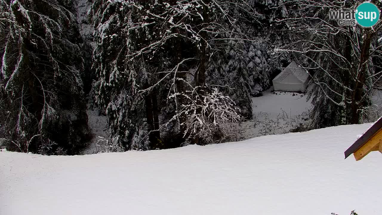 Webcam Lukanja – Pohorje houses a Water village