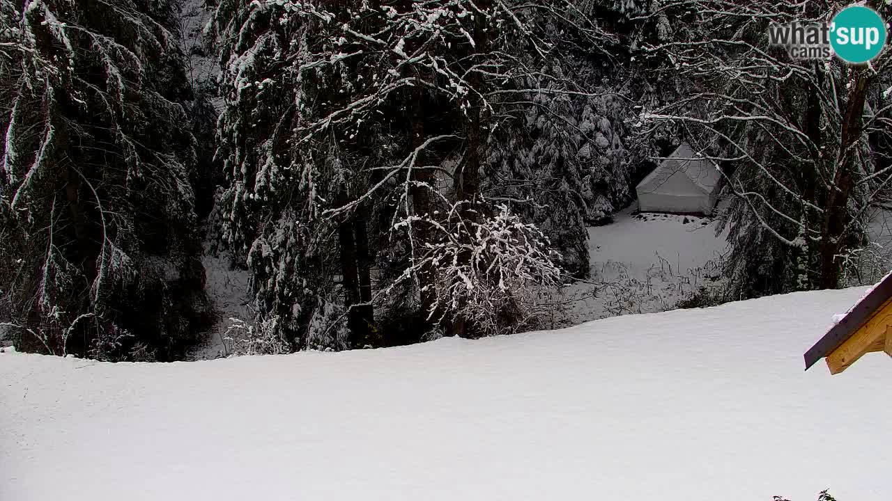 Webcam Lukanja – Water Village | Pohorje Houses