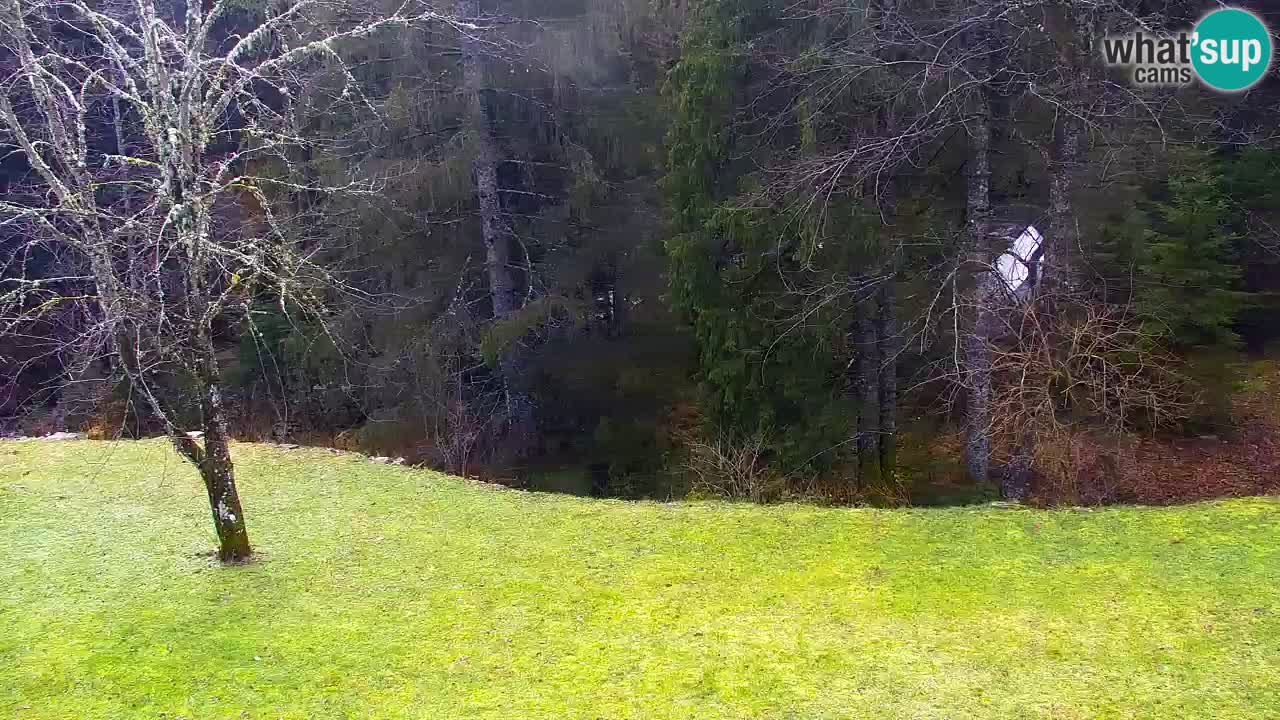 Webcam Lukanja – Water Village | Pohorje Houses