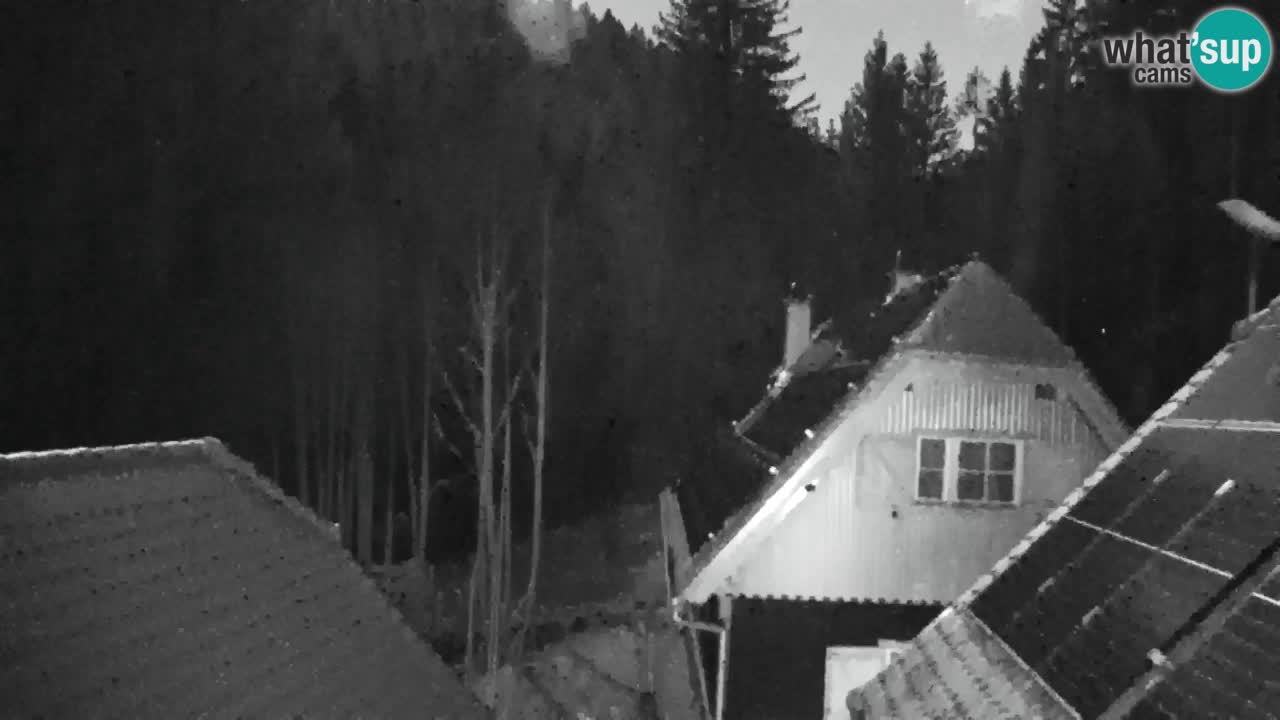 Webcam Lukanja – Water Village | Pohorje Houses