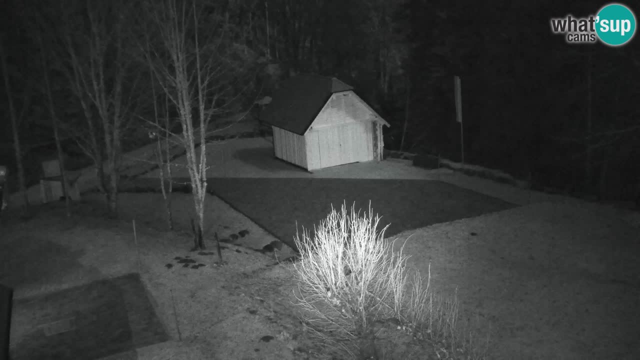 Webcam Lukanja – Pohorje houses a Water village