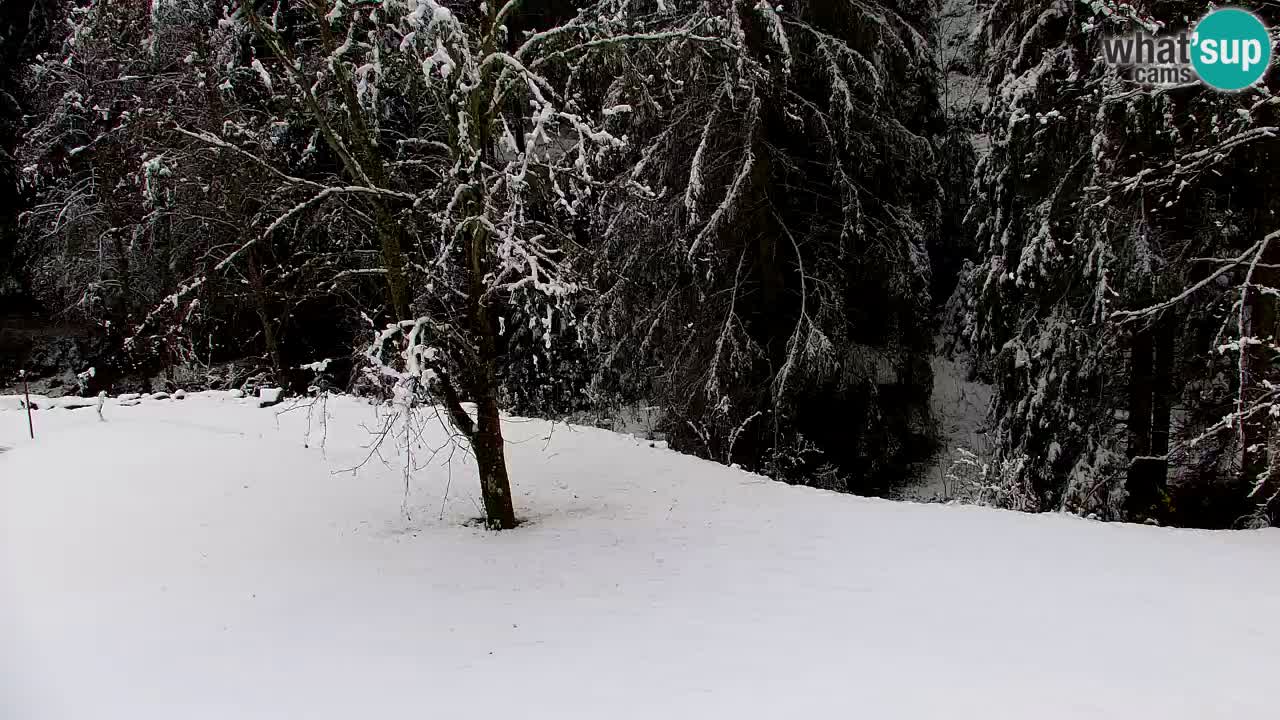 Spletna kamera Lukanja – Water Village | Pohorje Houses