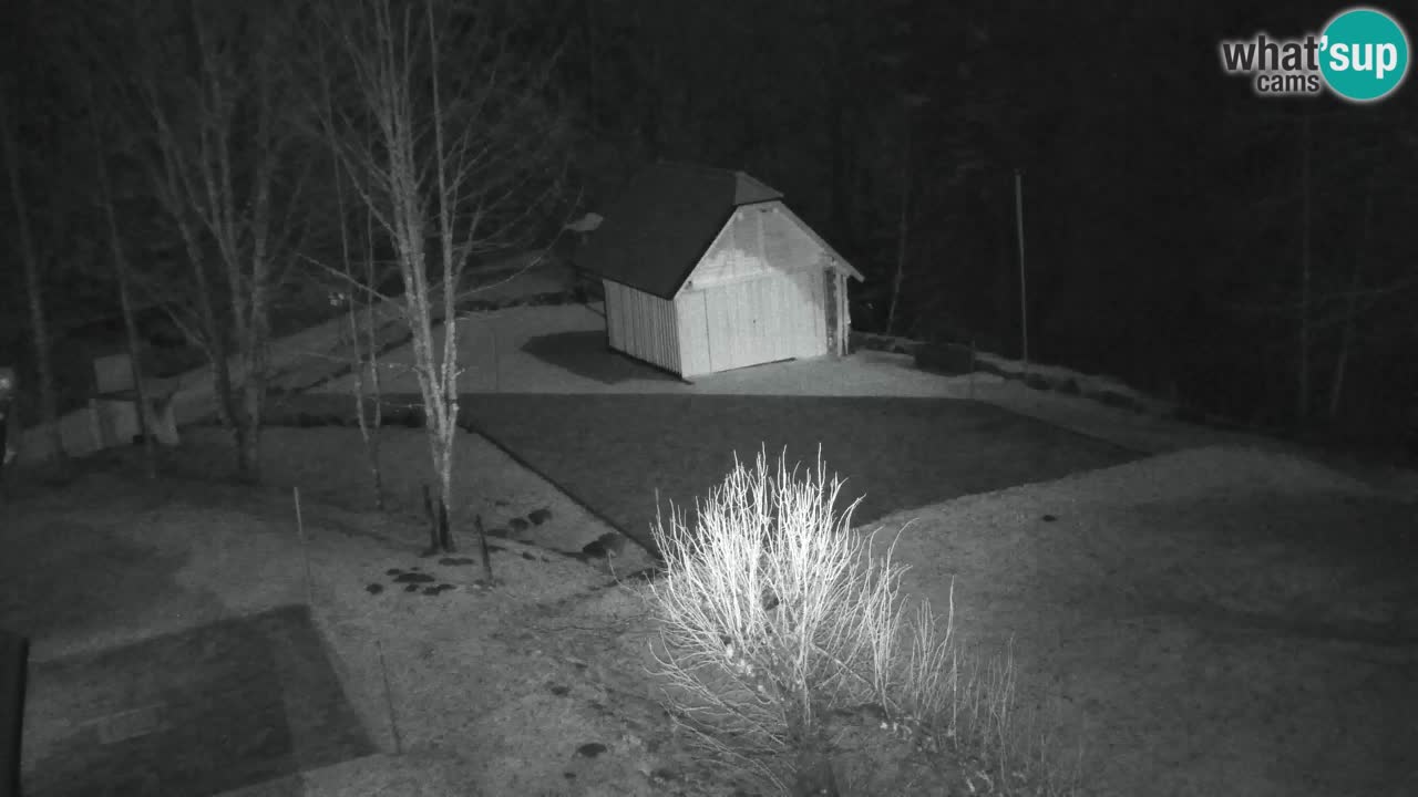 Webcam Lukanja – Pohorje houses a Water village