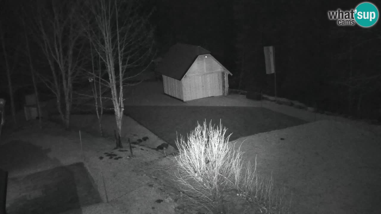 Webcam Lukanja – Pohorje houses a Water village