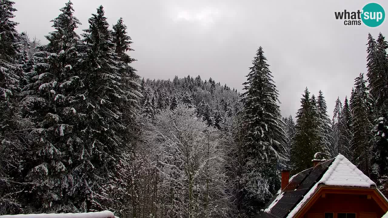Webcam Lukanja – Pohorje houses a Water village