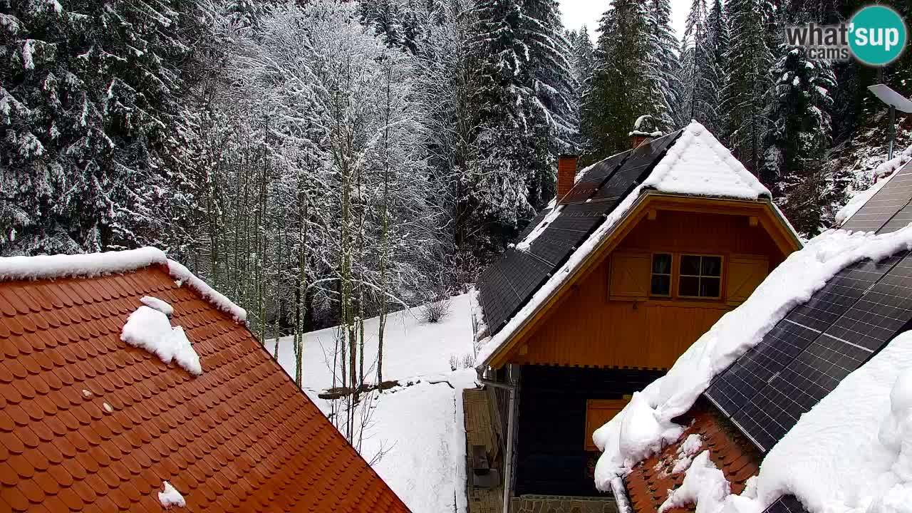 Webcam Lukanja – Pohorje houses a Water village