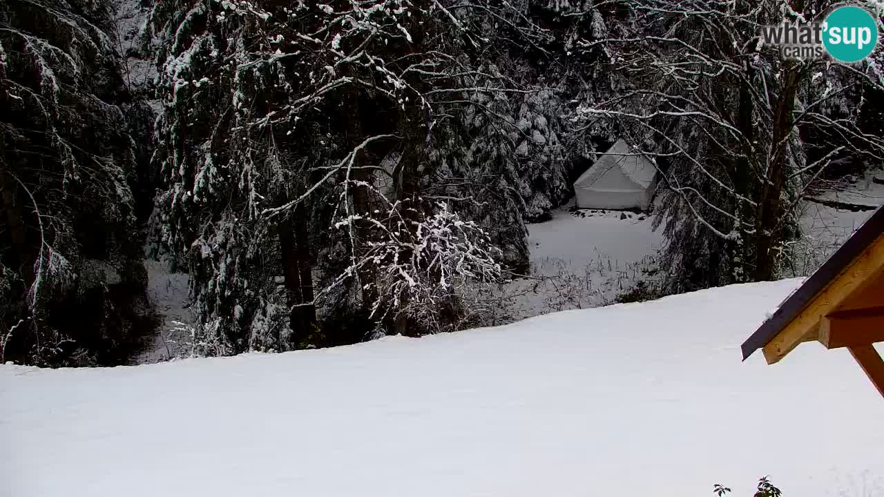 Webcam Lukanja – Pohorje houses a Water village