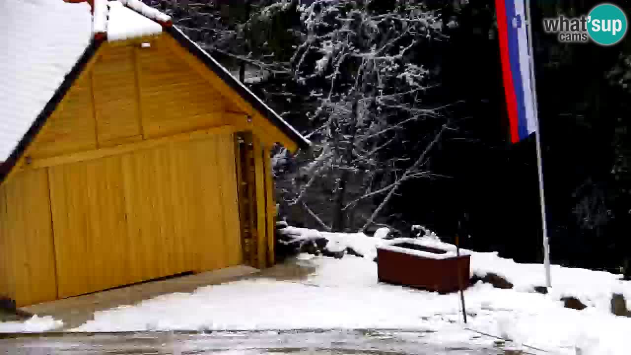 Spletna kamera Lukanja – Water Village | Pohorje Houses