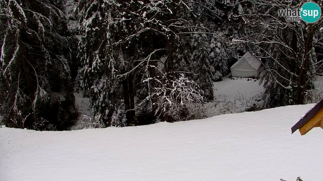 Webcam Lukanja – Pohorje houses a Water village