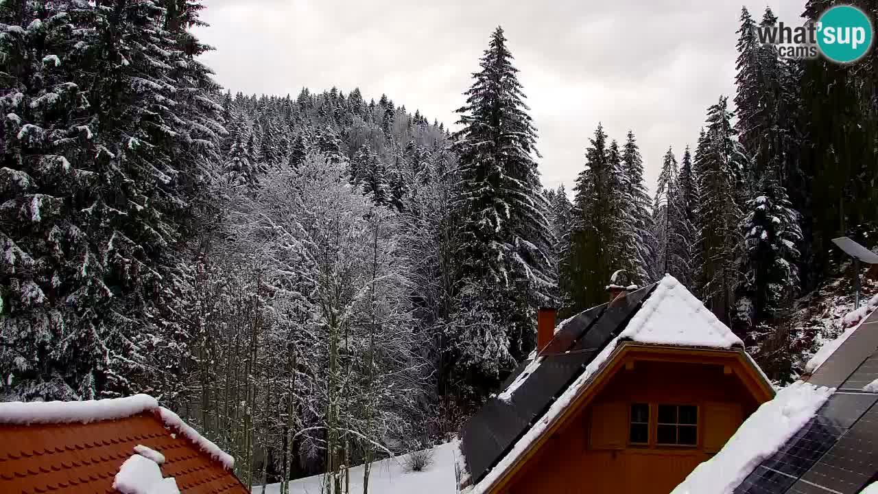 Spletna kamera Lukanja – Water Village | Pohorje Houses
