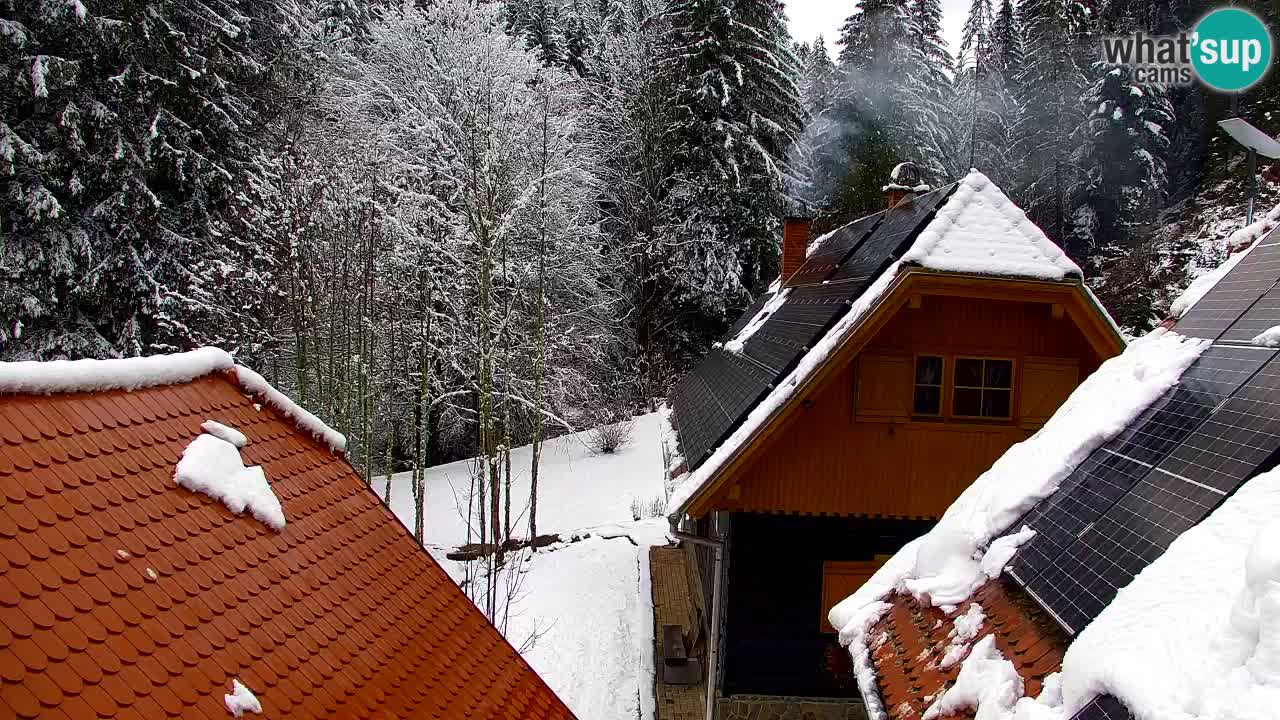 Webcam Lukanja – Water Village | Pohorje Houses