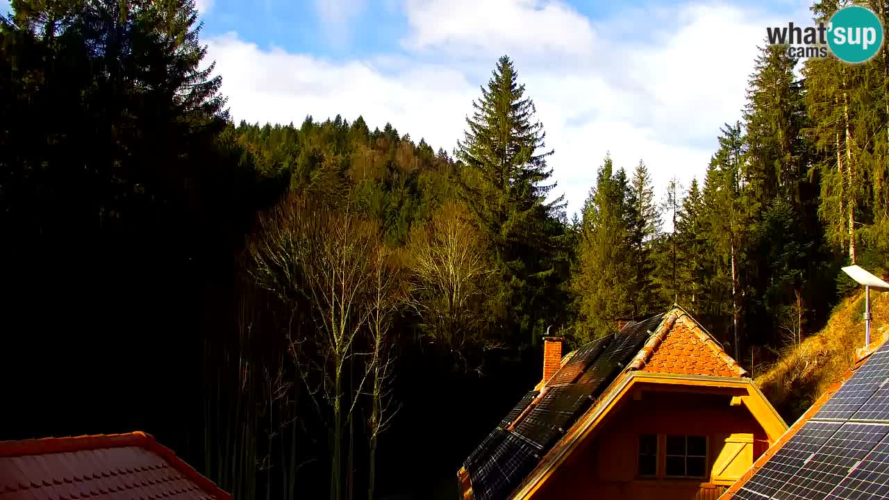 Webcam Lukanja – Water Village | Pohorje Houses