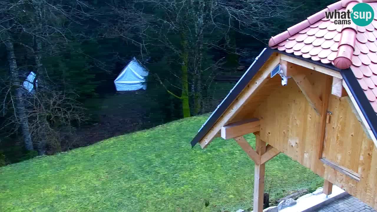 Spletna kamera Lukanja – Water Village | Pohorje Houses