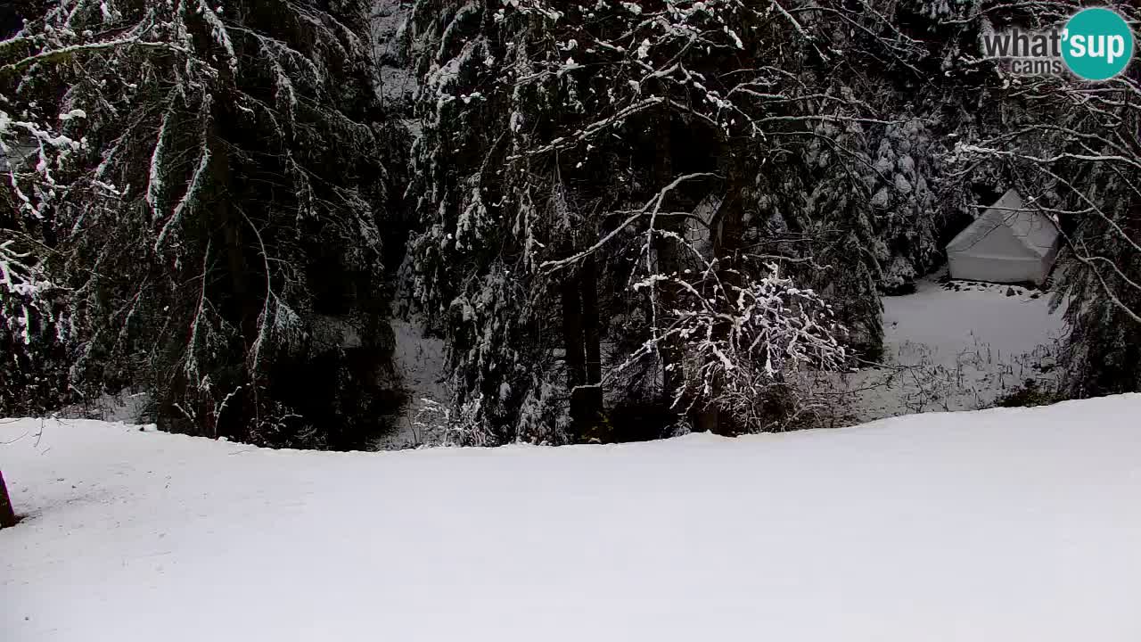 Webcam Lukanja – Water Village | Pohorje Houses