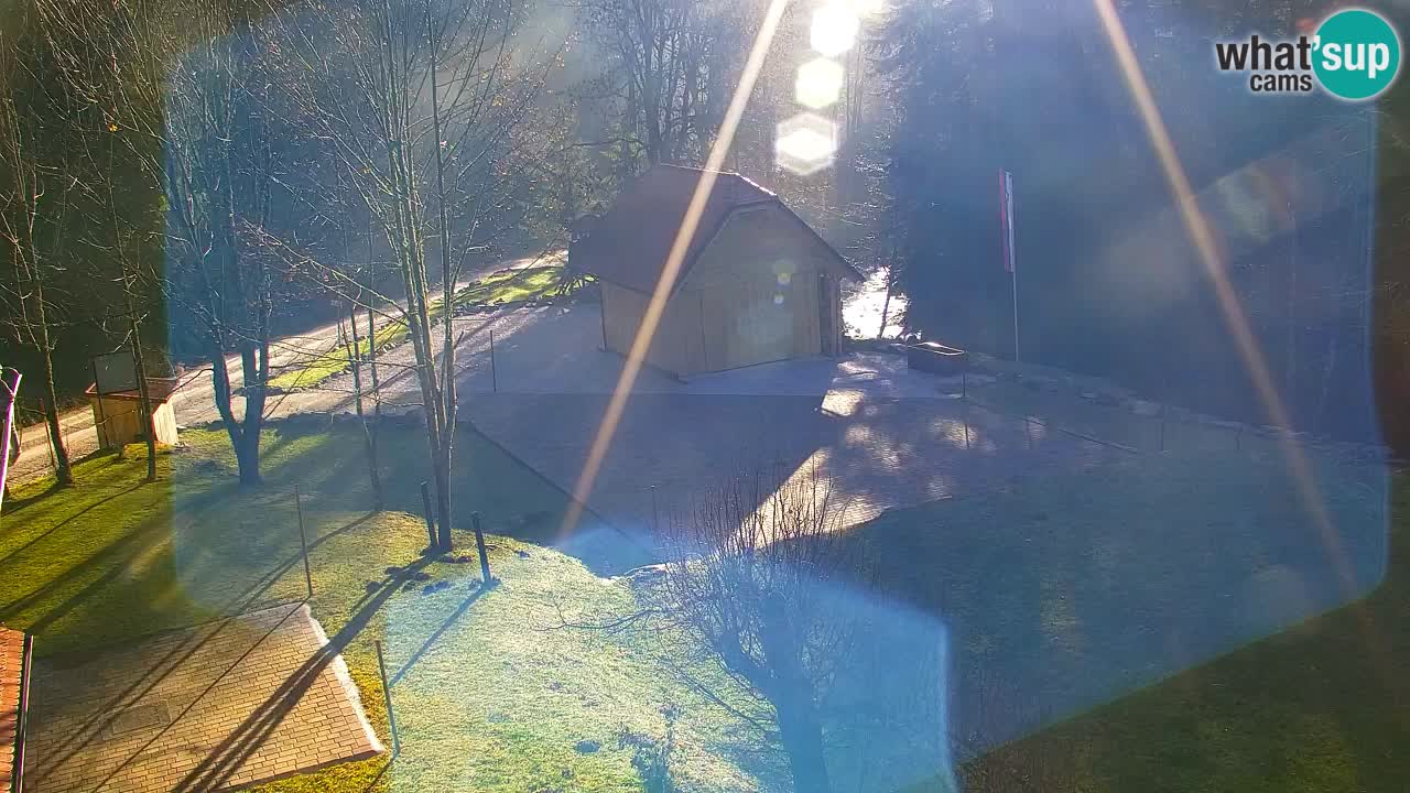 Web kamera Lukanja – Water Village | Pohorje Houses