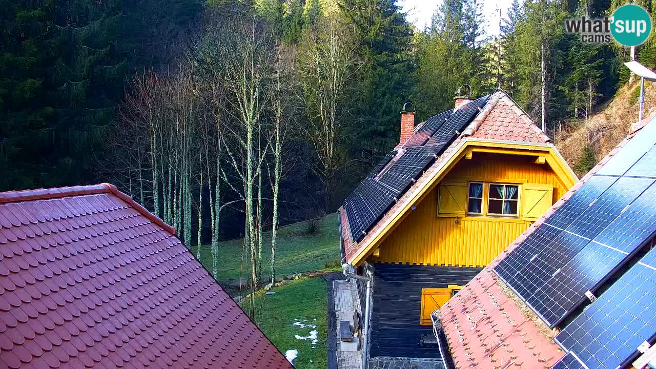 Webcam Lukanja – Pohorje houses a Water village