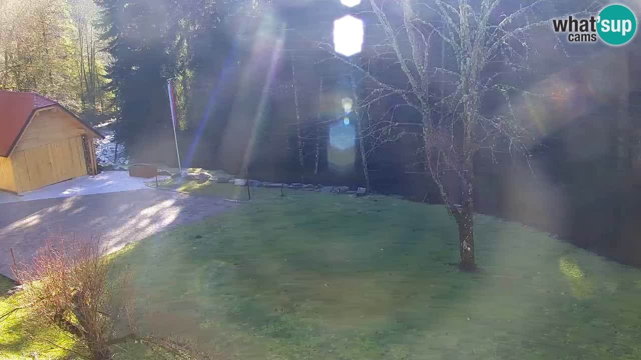 Webcam Lukanja – Water Village | Pohorje Houses