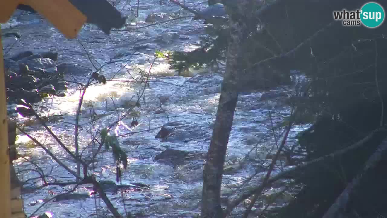 Webcam Lukanja – Water Village | Pohorje Houses