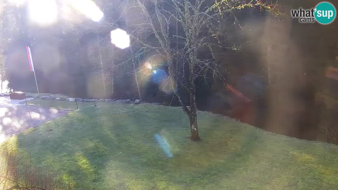 Webcam Lukanja – Water Village | Pohorje Houses