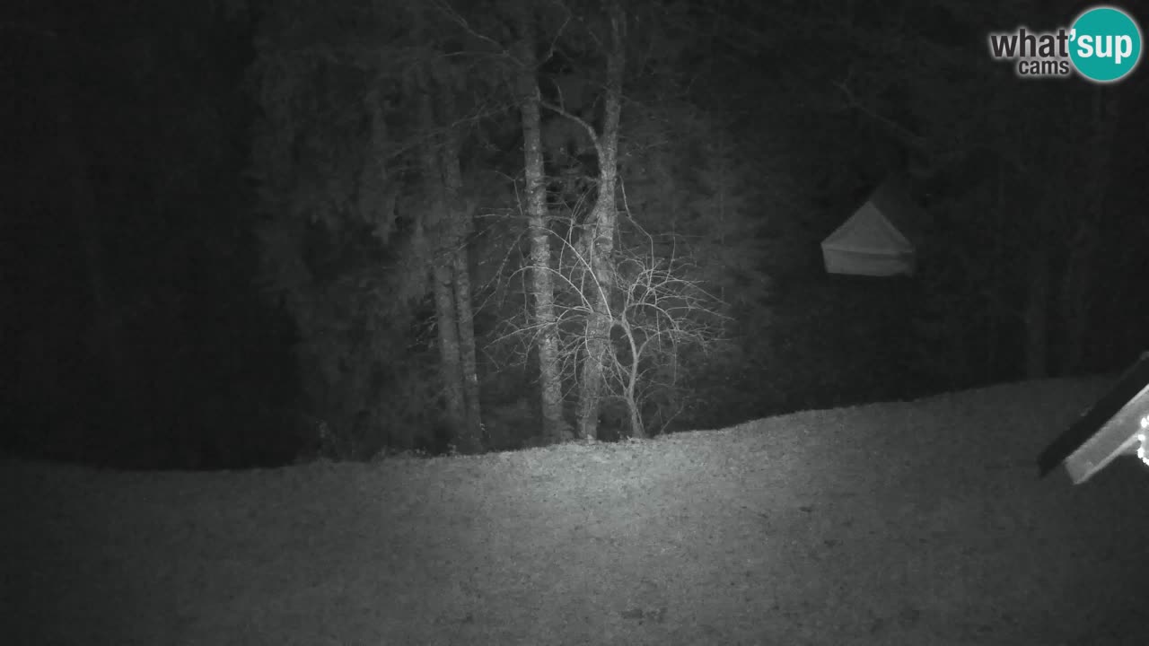 Webcam Lukanja – Pohorje houses a Water village