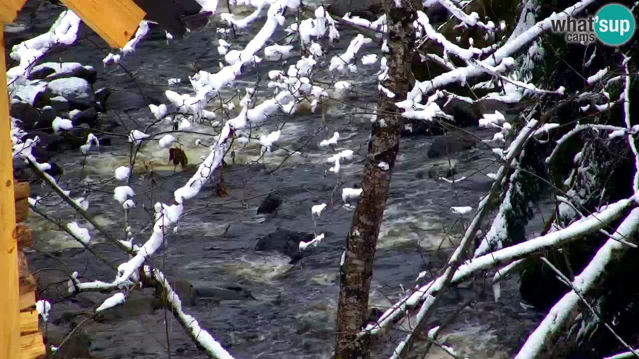 Webcam Lukanja – Water Village | Pohorje Houses