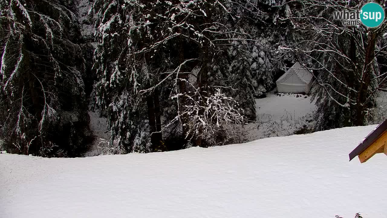 Webcam Lukanja – Water Village | Pohorje Houses