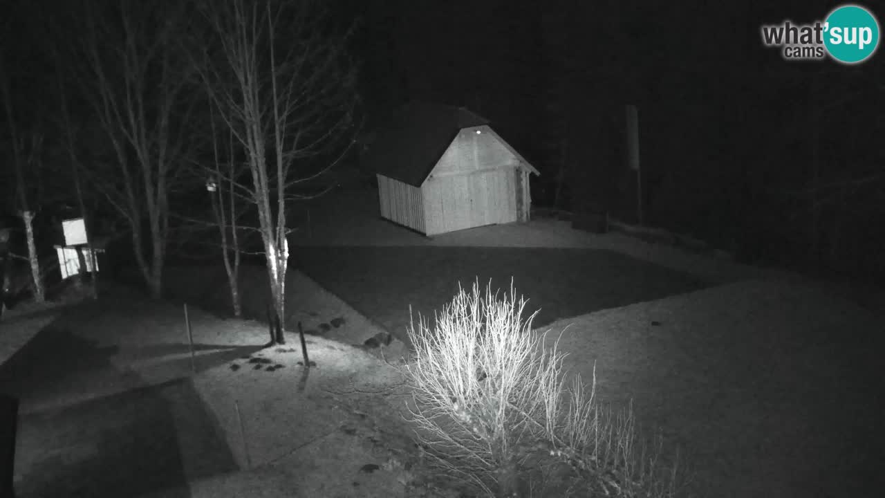 Webcam Lukanja – Water Village | Pohorje Houses