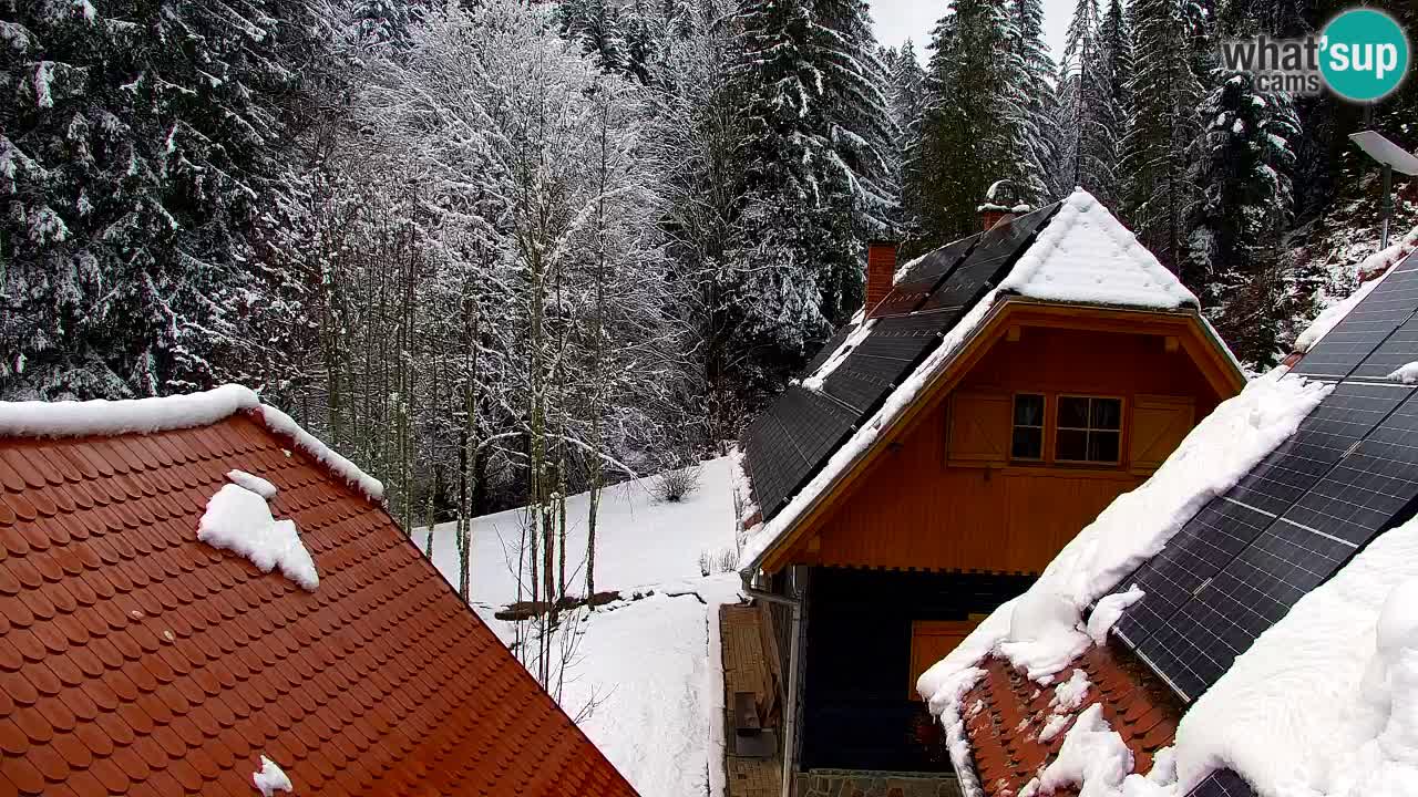 Webcam Lukanja – Water Village | Pohorje Houses
