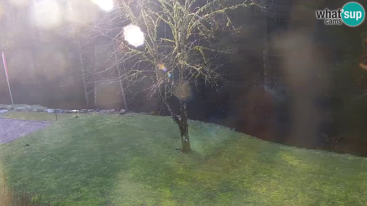 Webcam Lukanja – Water Village | Pohorje Houses