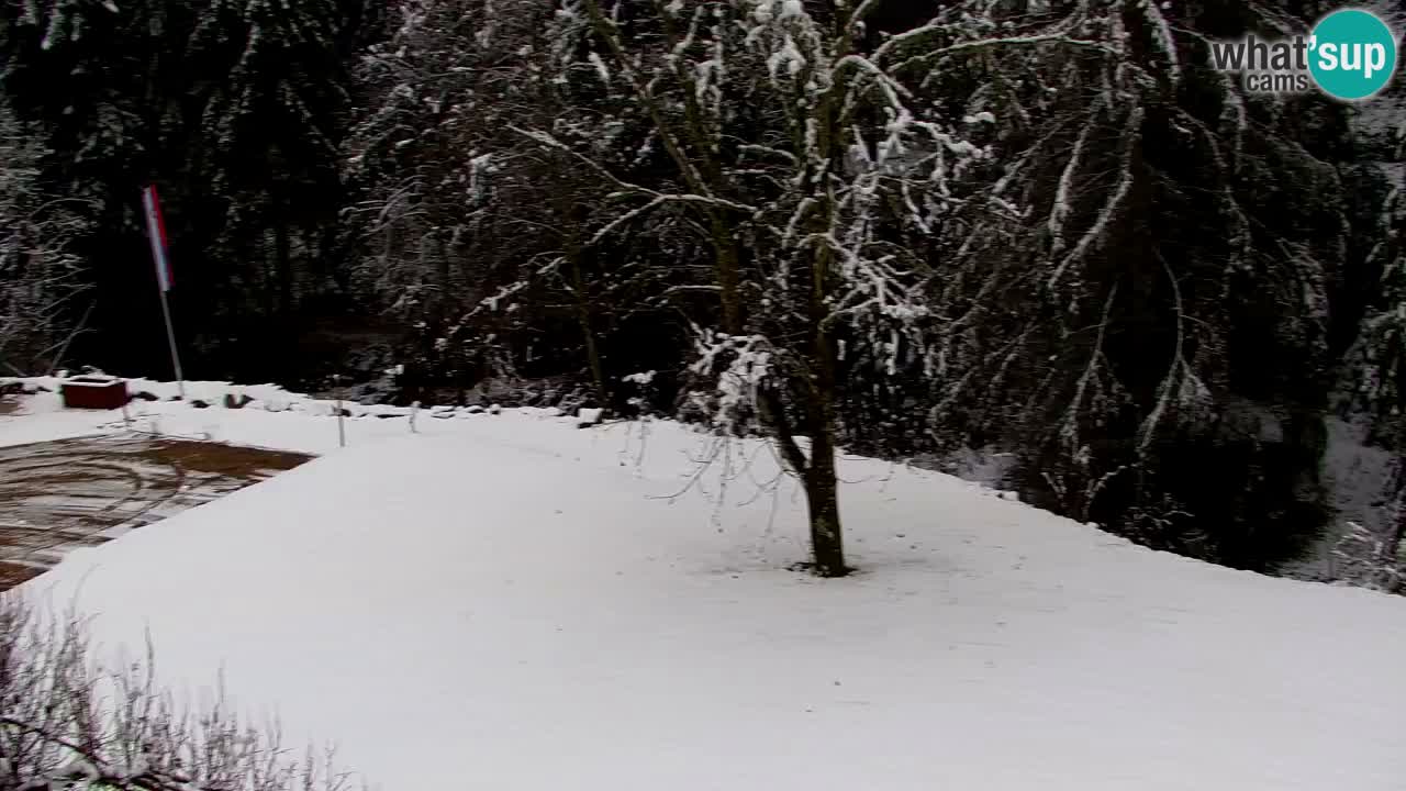 Webcam Lukanja – Water Village | Pohorje Houses