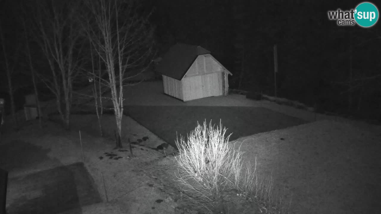 Webcam Lukanja – Water Village | Pohorje Houses