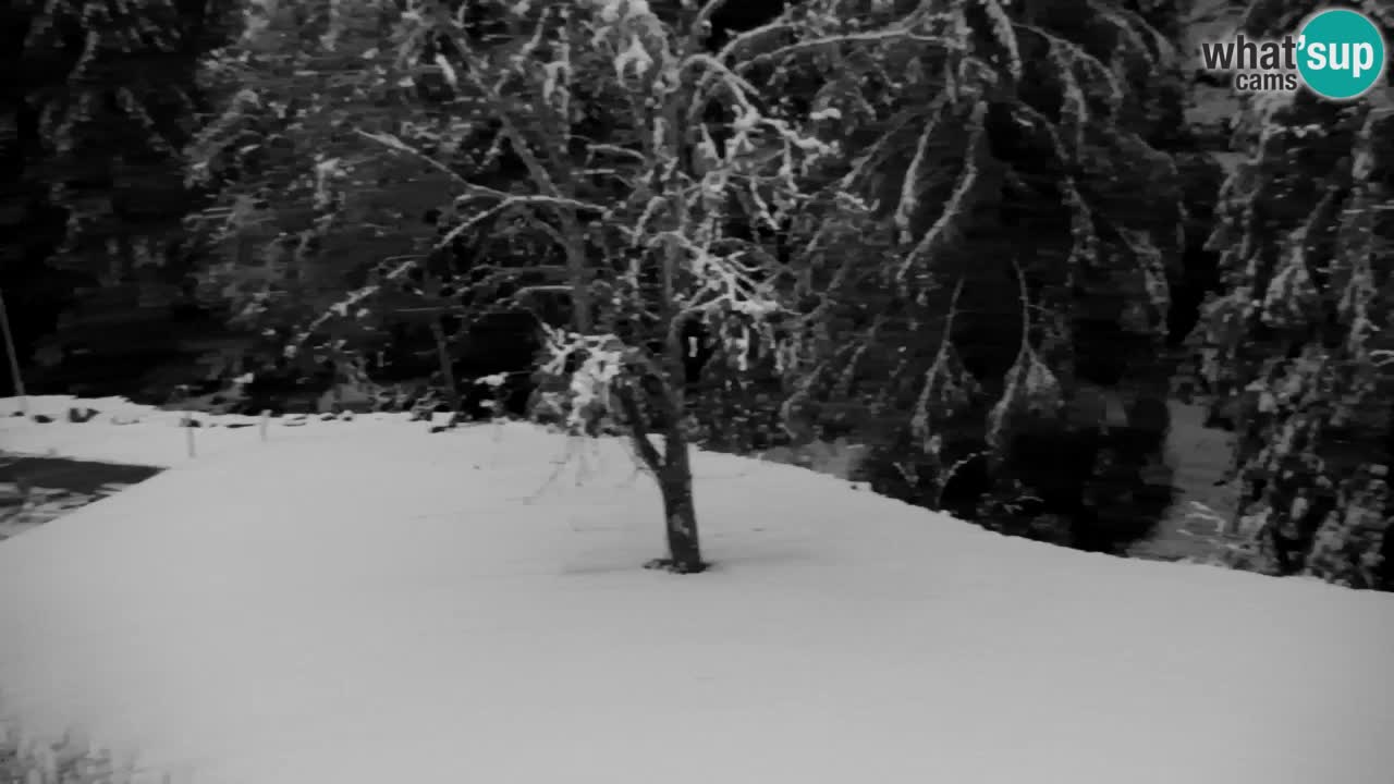 Webcam Lukanja – Pohorje houses a Water village