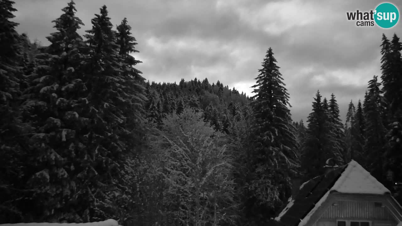 Webcam Lukanja – Water Village | Pohorje Houses