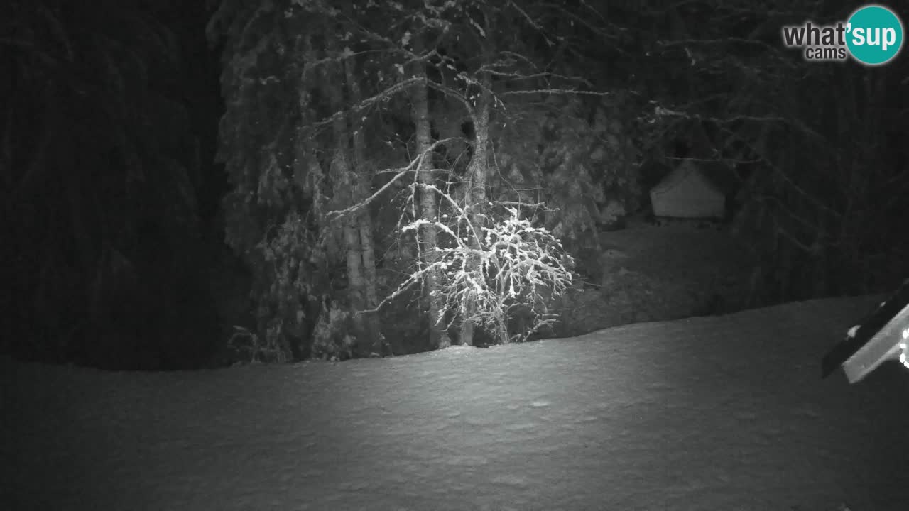 Webcam Lukanja – Pohorje houses a Water village