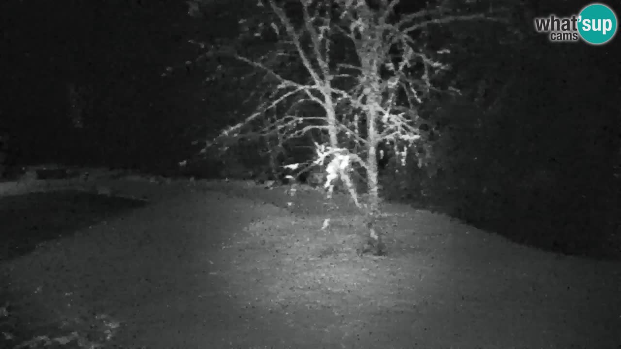 Webcam Lukanja – Water Village | Pohorje Houses