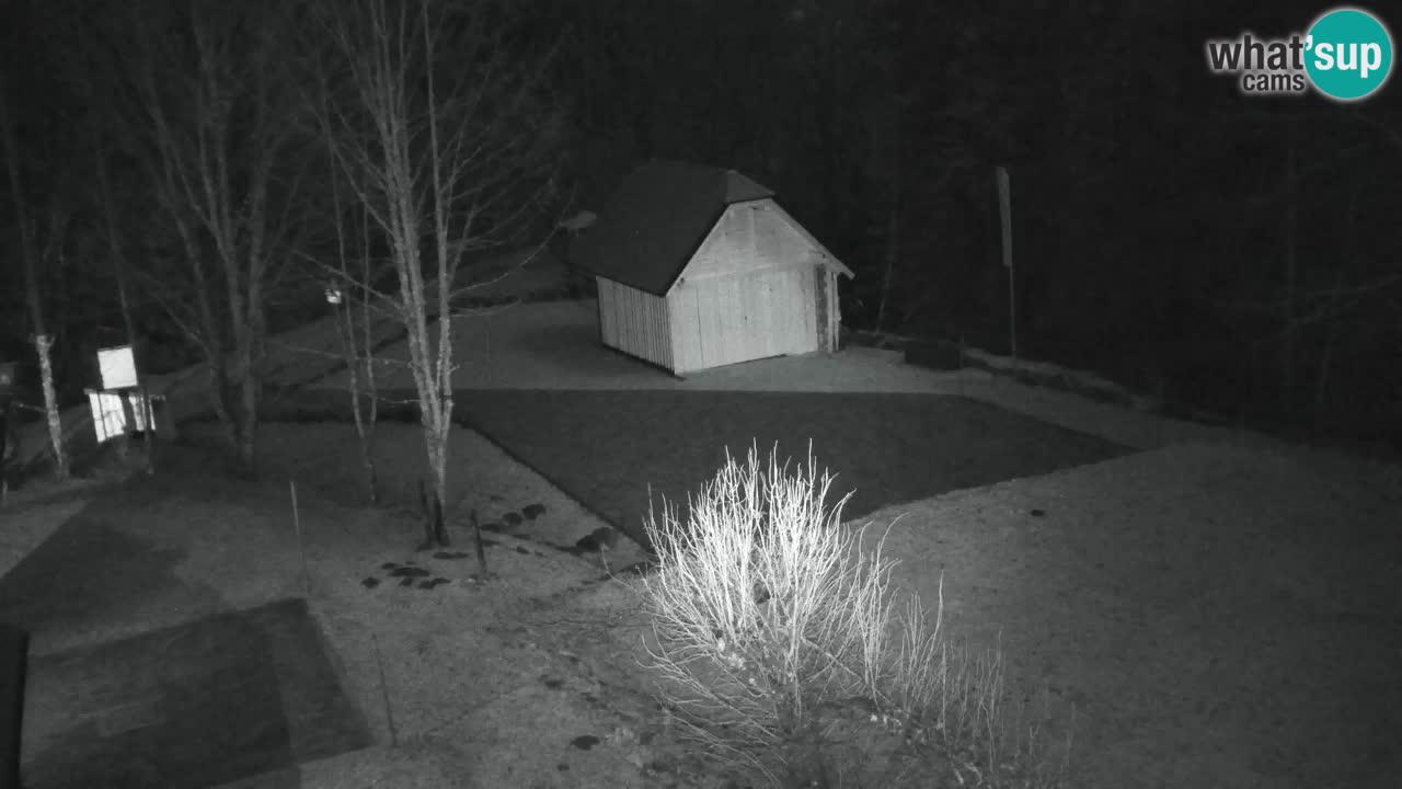 Web kamera Lukanja – Water Village | Pohorje Houses