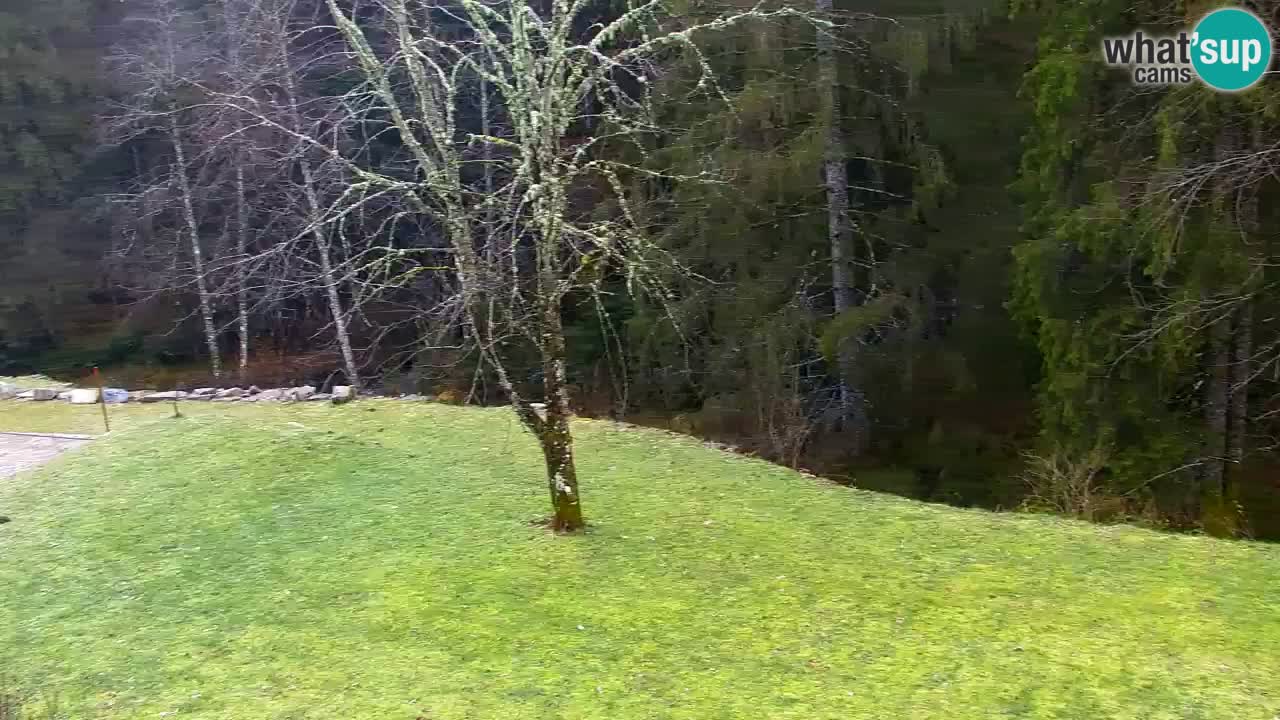 Webcam Lukanja – Pohorje houses a Water village