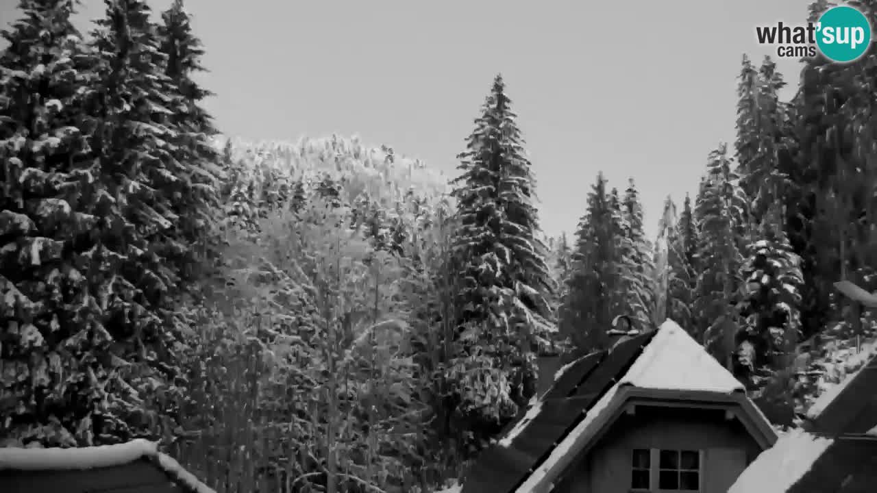 Webcam Lukanja – Water Village | Pohorje Houses