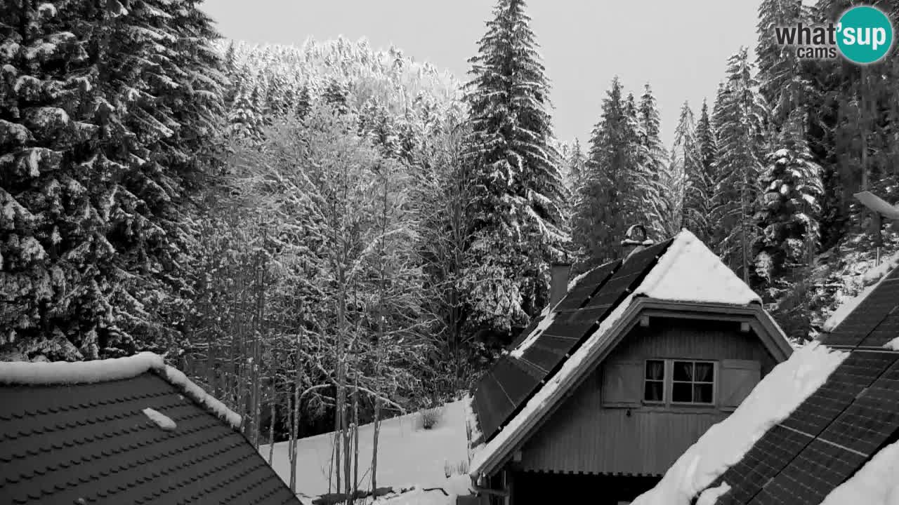 Webcam Lukanja – Water Village | Pohorje Houses