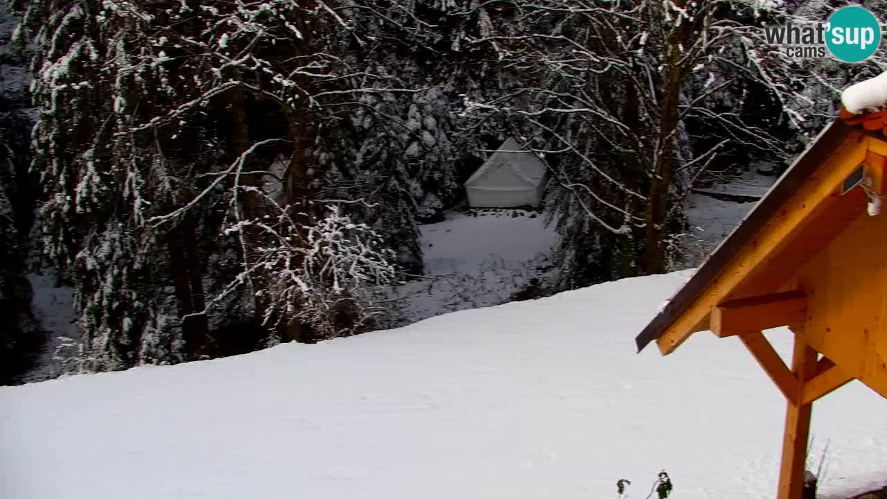 Webcam Lukanja – Water Village | Pohorje Houses